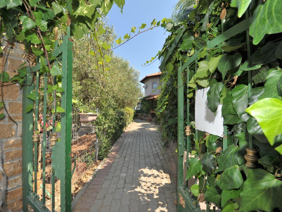 Alice Wonderland Home Nea Flogita Halkidiki Экстерьер фото